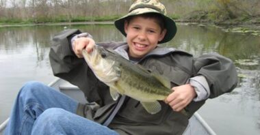 David Molak 2000-2016